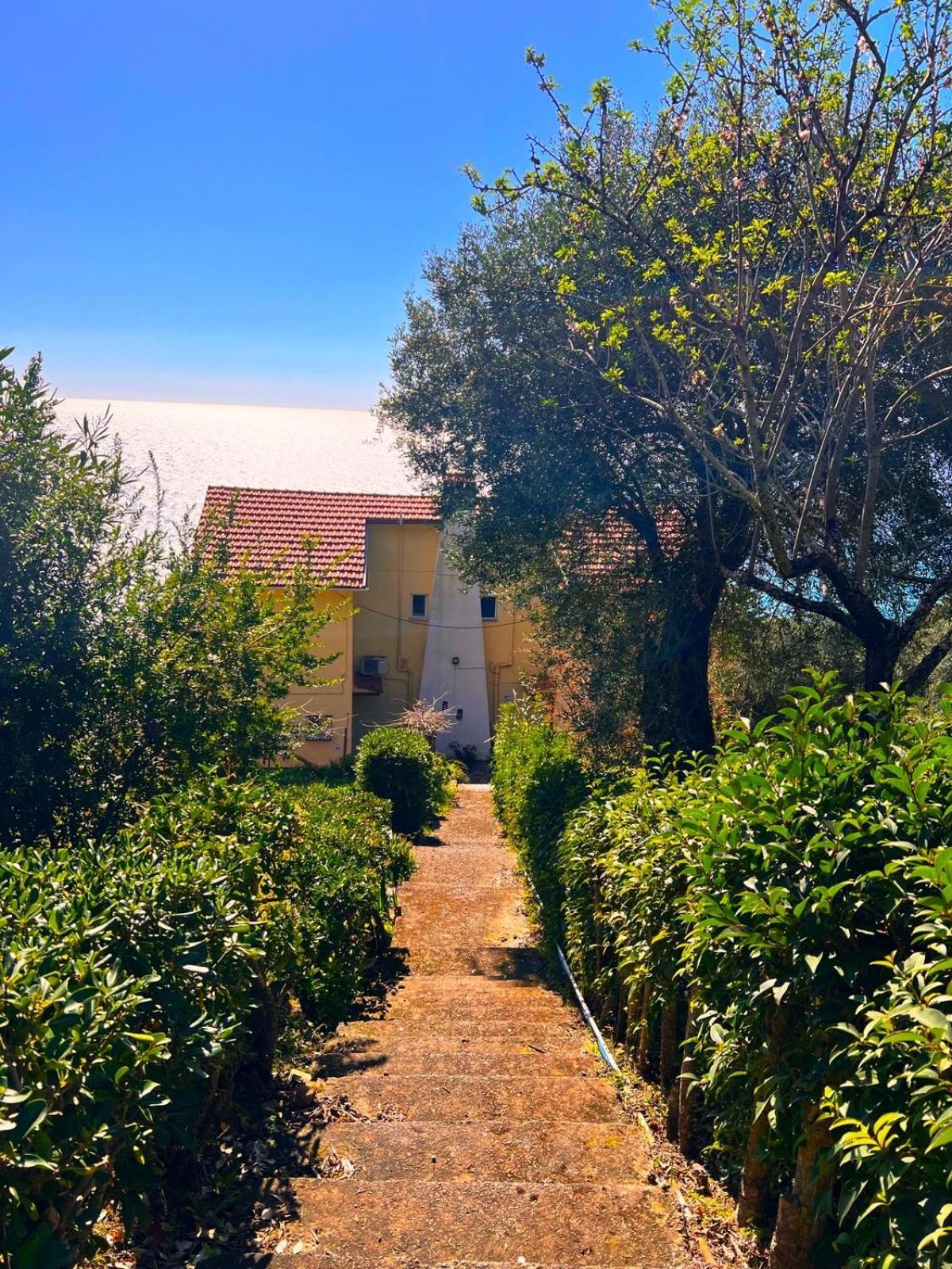 Stefanos Apartments By Sv Alians Agios Gordios  Luaran gambar