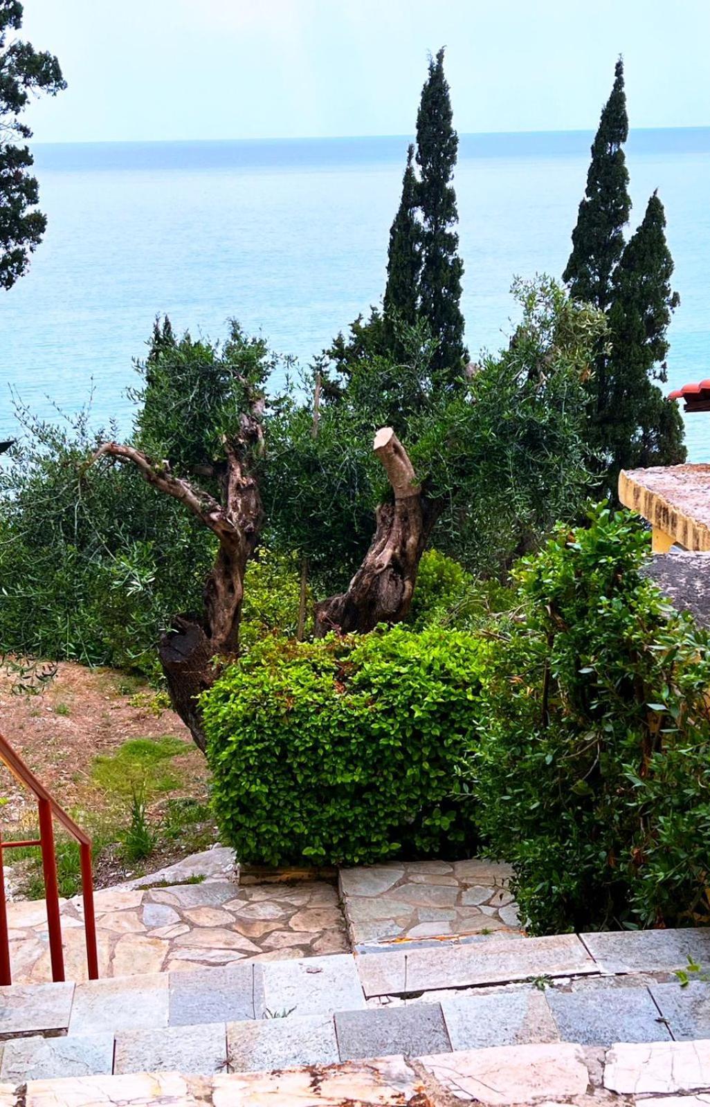 Stefanos Apartments By Sv Alians Agios Gordios  Luaran gambar